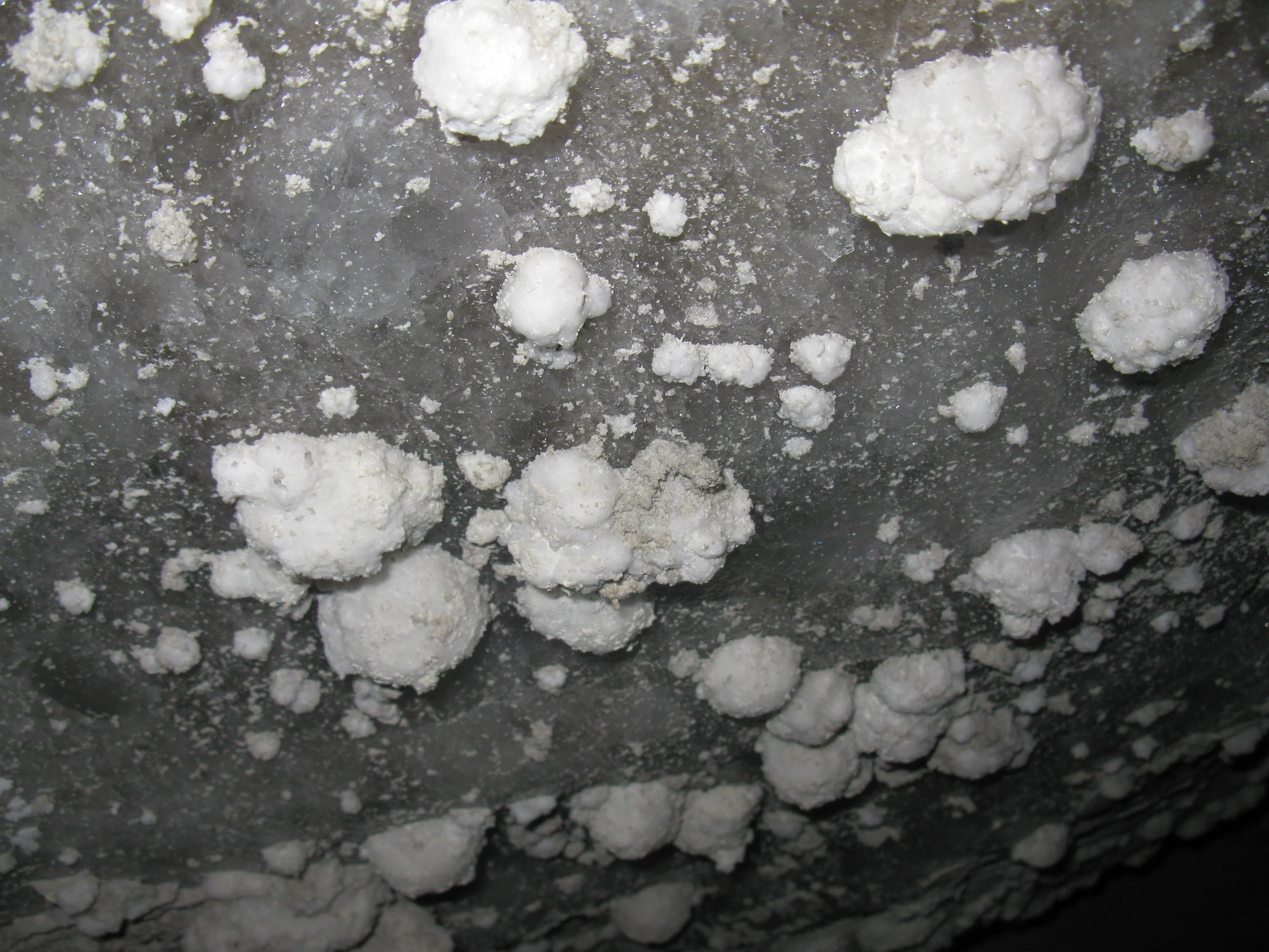 Salt Flowers