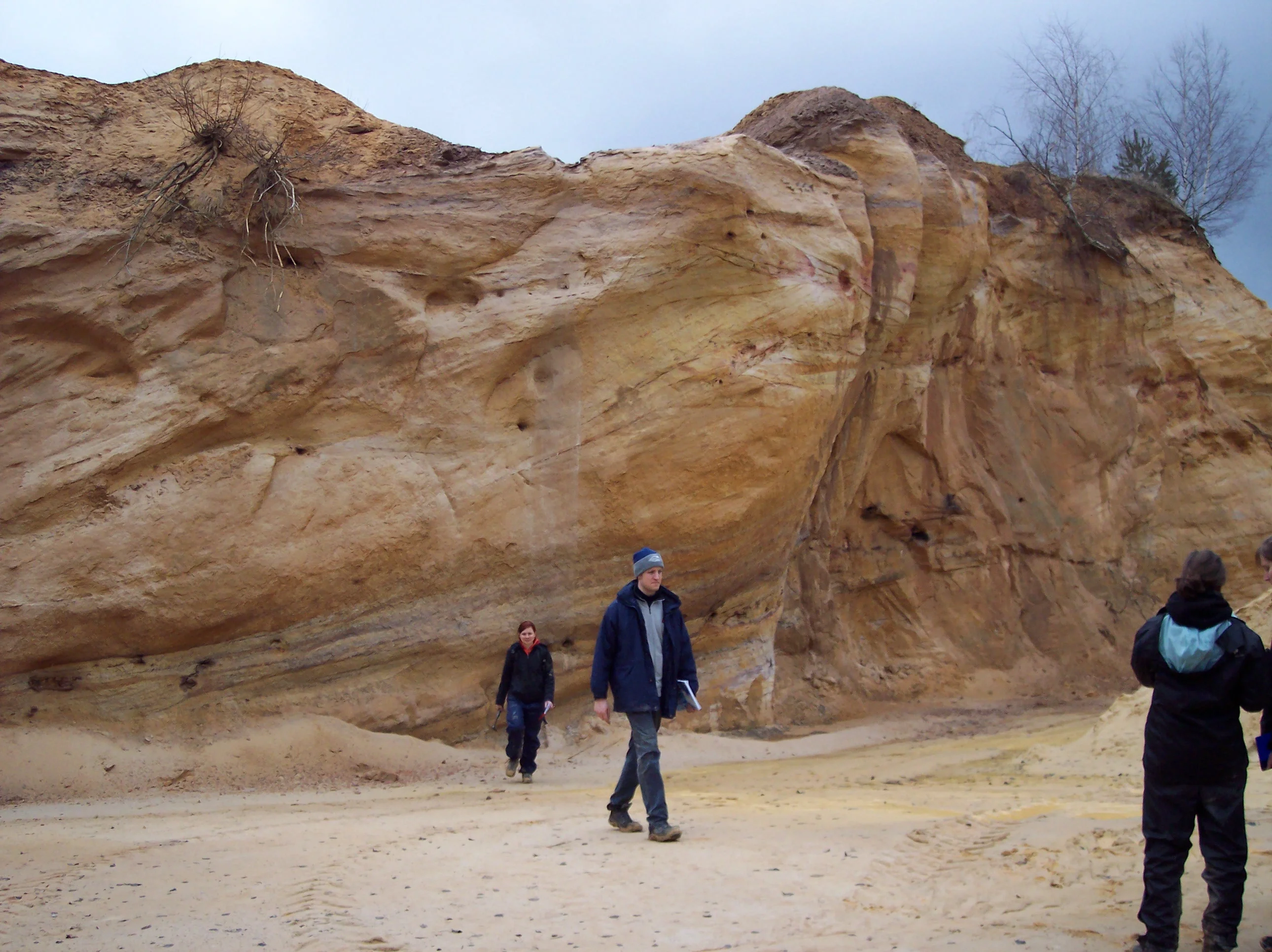 Fossil Dunes