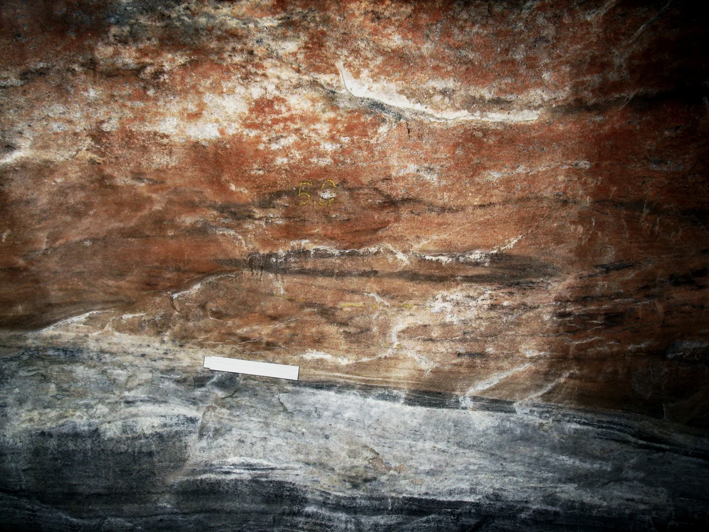 Sheath Folds in Salt