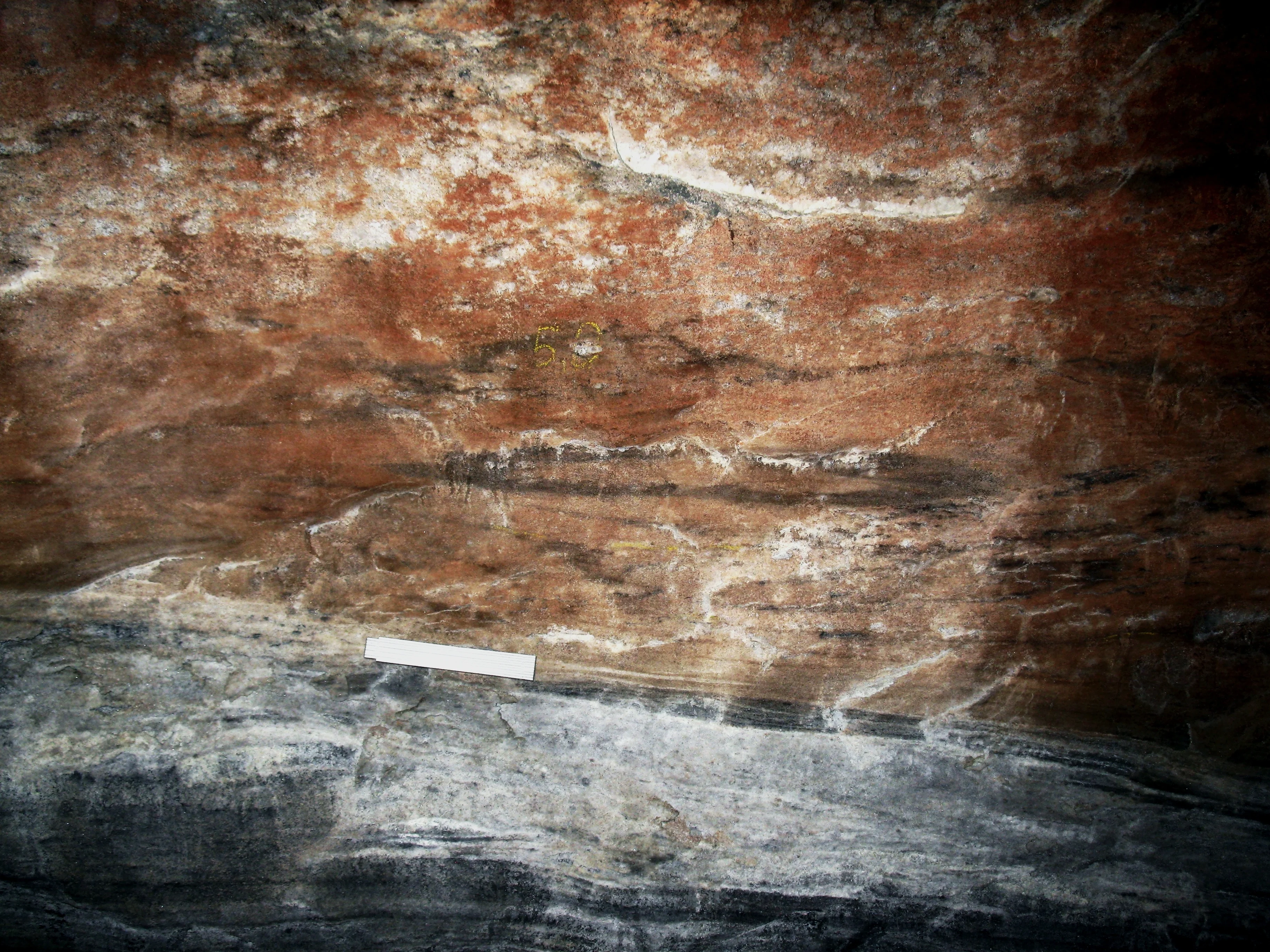 Sheath Folds in Salt