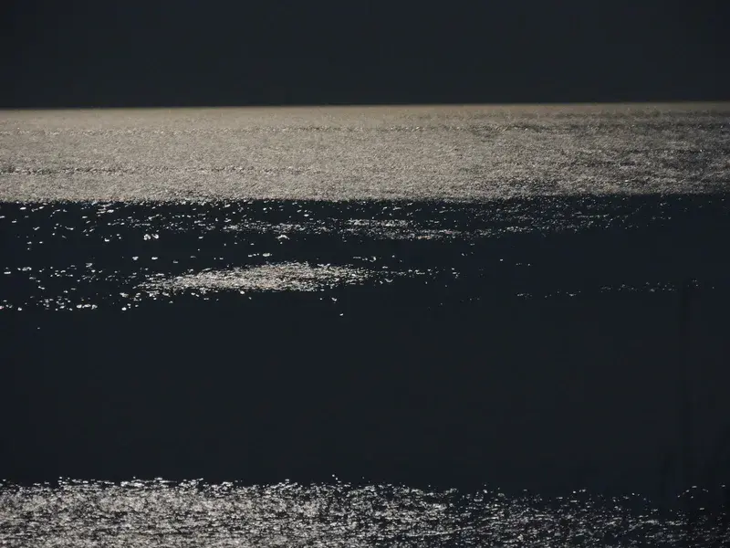 Sea lit by full moon