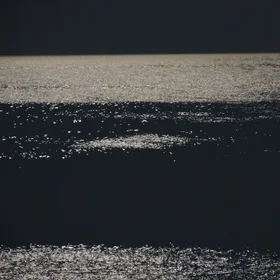 Sea lit by full moon