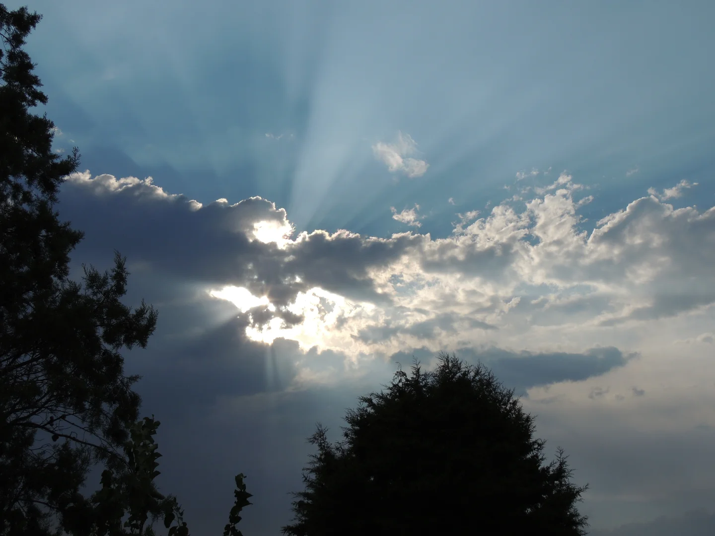 Crepuscular rays
