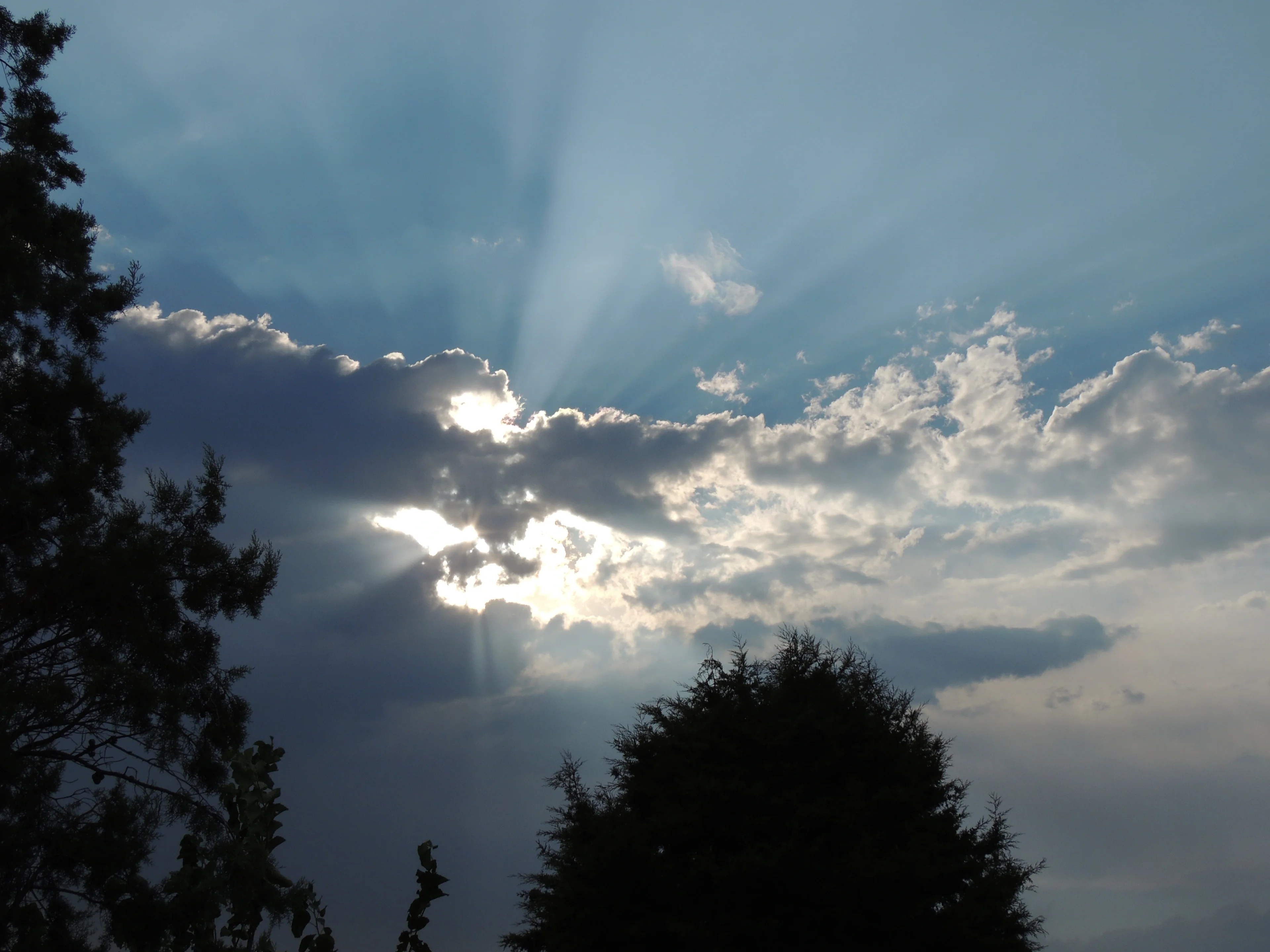 Crepuscular rays
