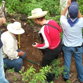 Describing a soil profile