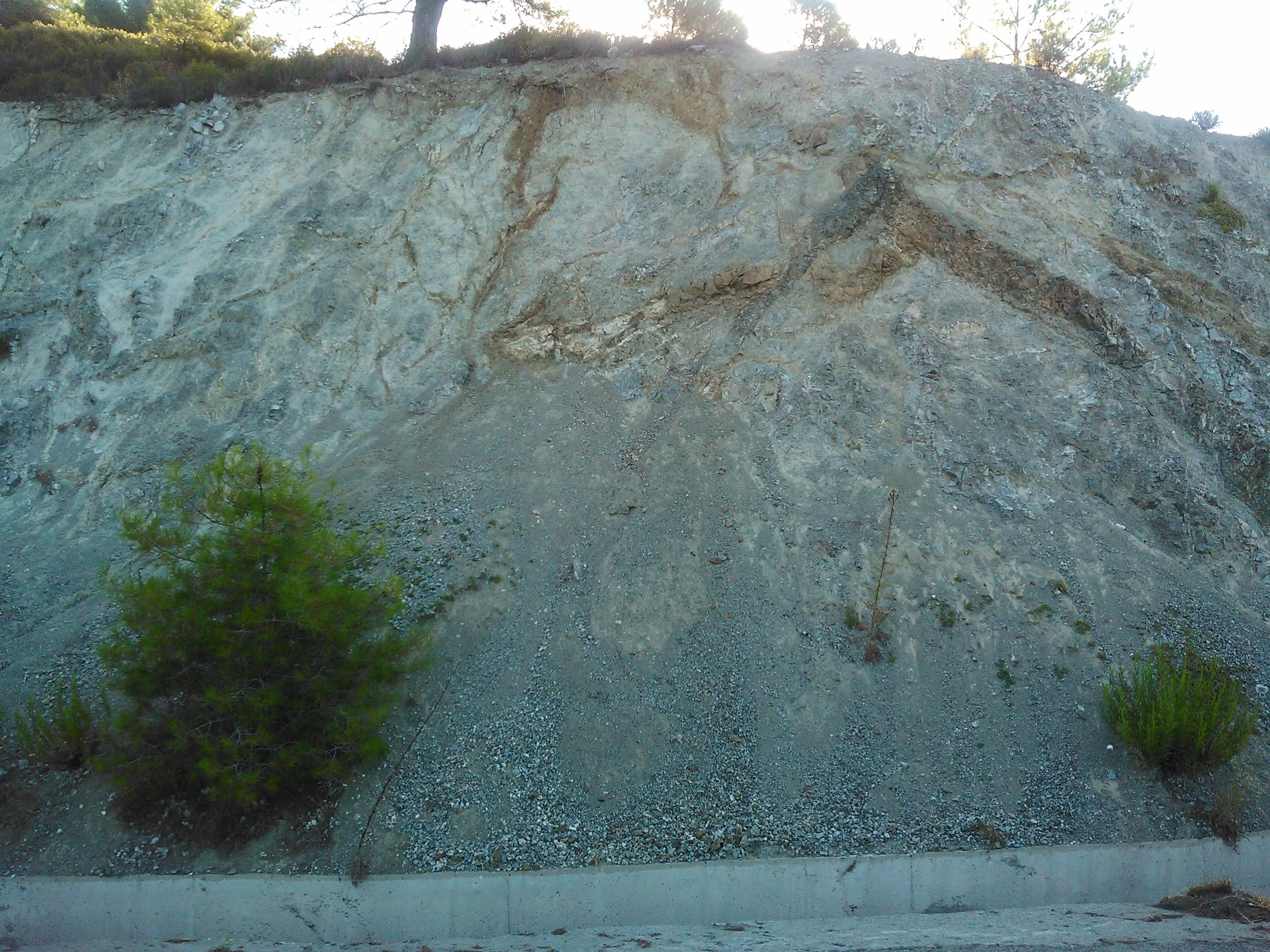 Soil erosion in a road bank