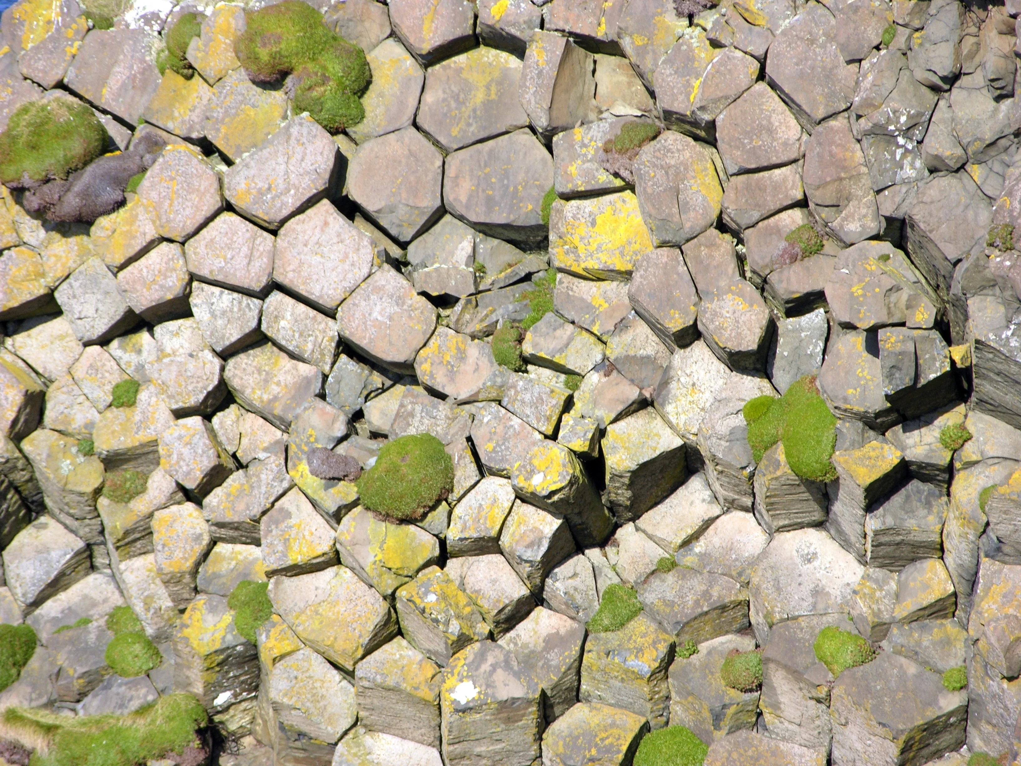 Basalt heads