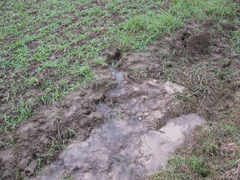 Natural Spring
