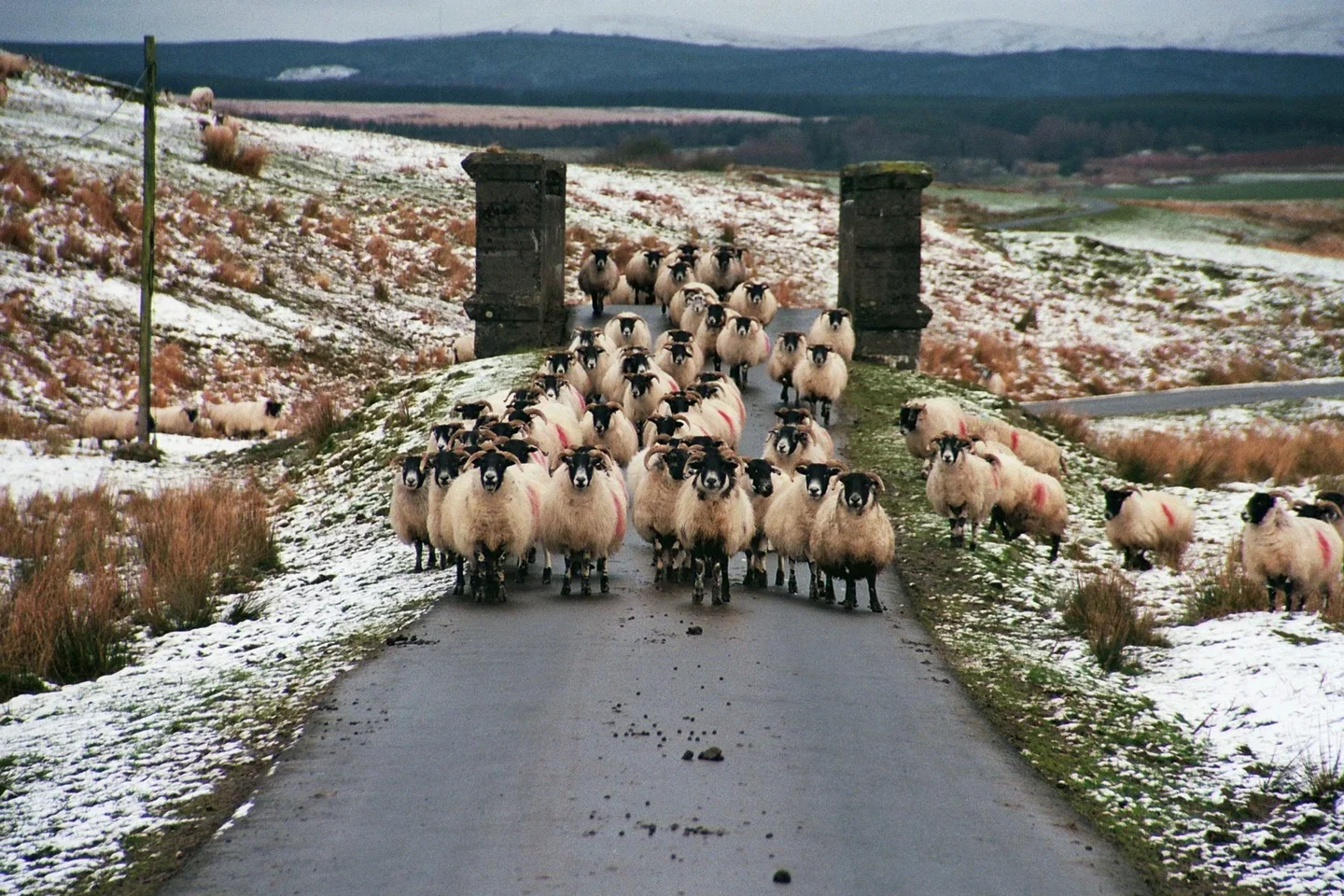 Traffic jam