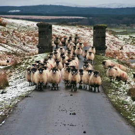 Traffic jam