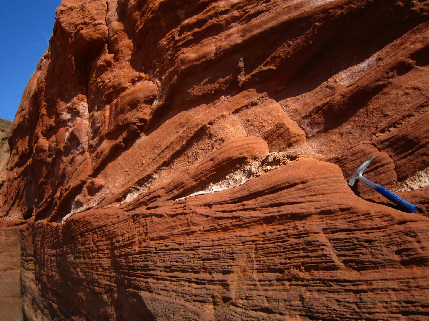 Red triassic sandstone (Orcombe Rocks, East Devon)