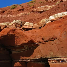 Red triassic sandstone (East Devon)