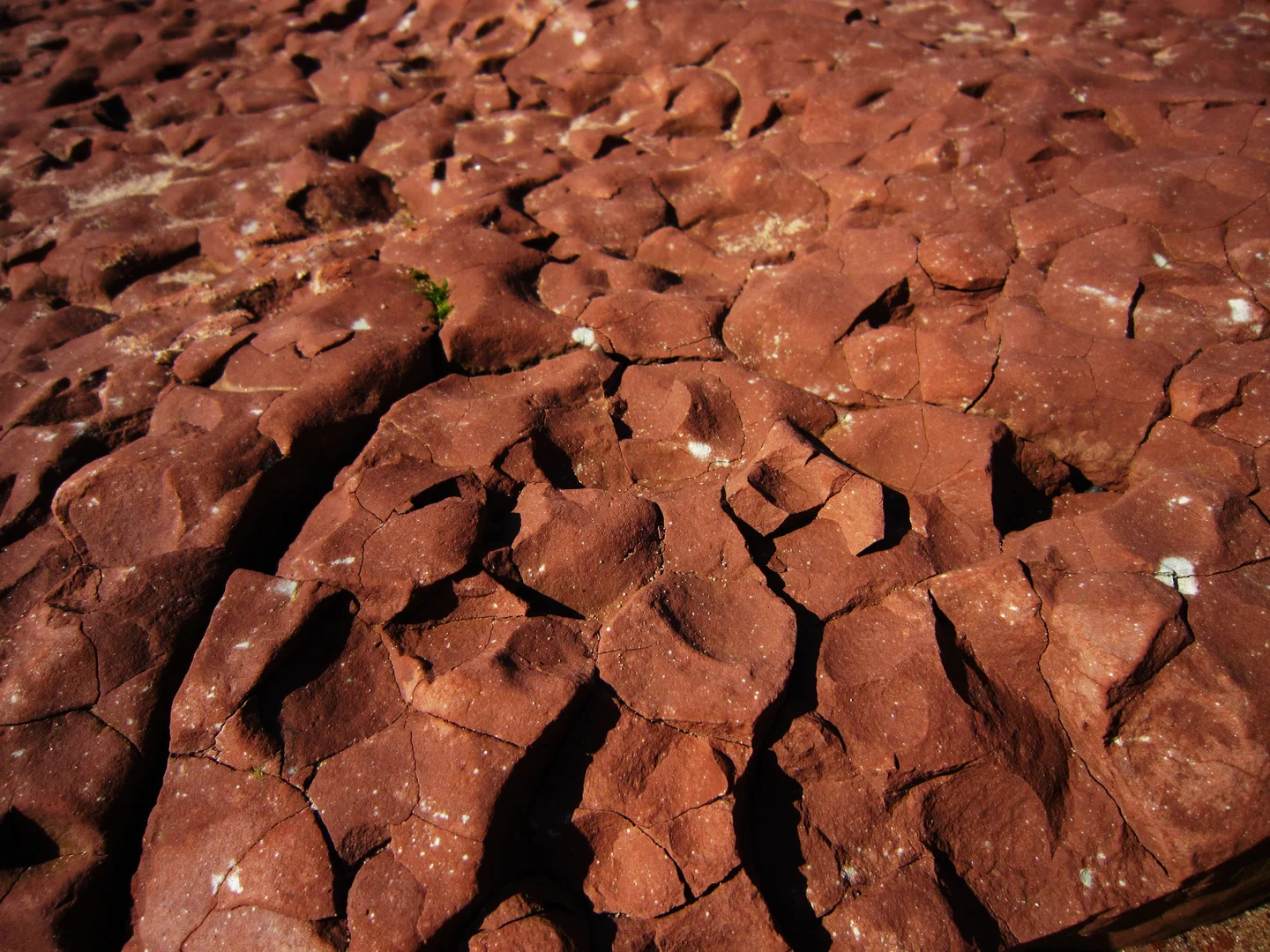 Desiccation cracks