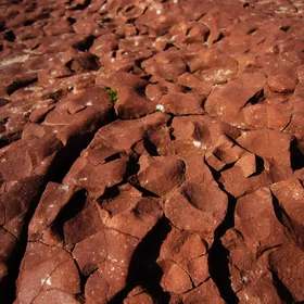 Desiccation cracks
