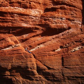 Red triassic sandstone (Orcombe Rocks, East Devon)