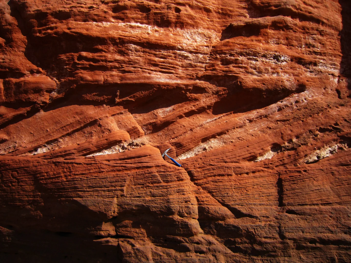 Red triassic sandstone (Orcombe Rocks, East Devon)