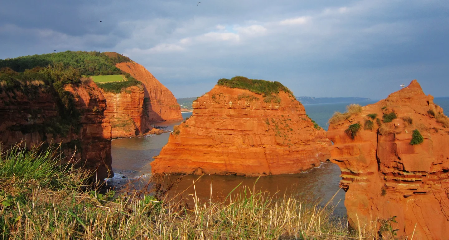 Triassic sandstone (Sidmouth)