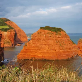 Triassic sandstone (Sidmouth)