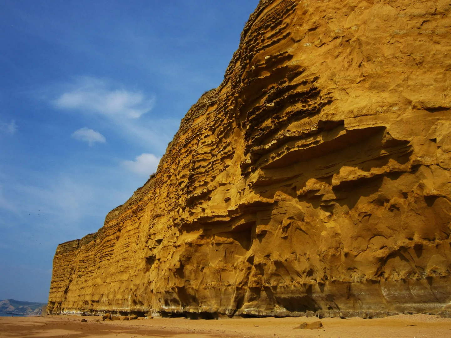 Burton Cliff, Burton Bradstock