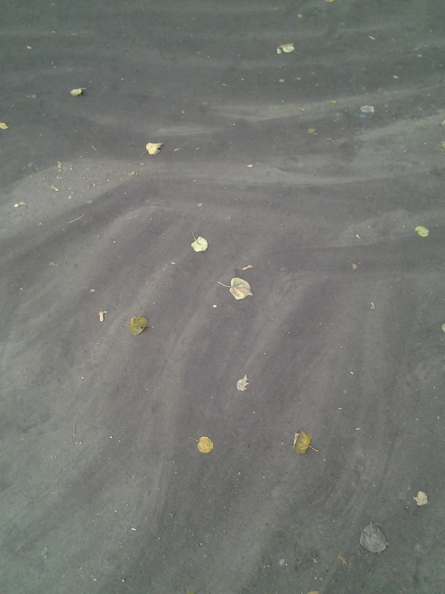 Soil degradation in urban areas