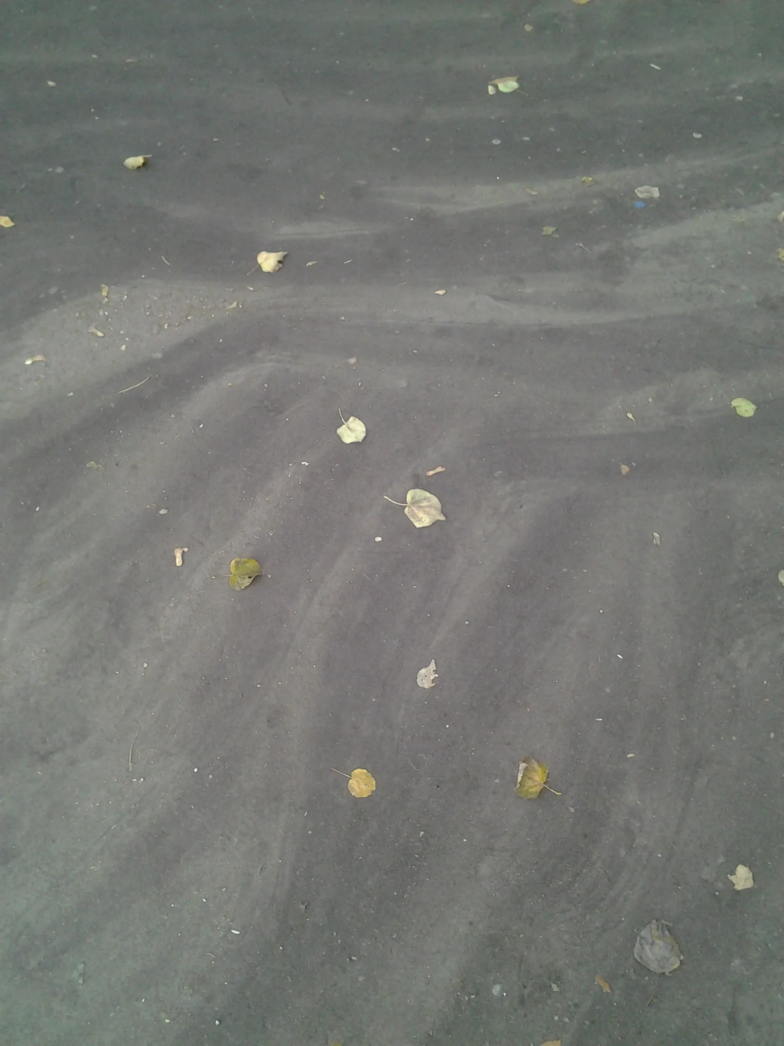 Soil degradation in urban areas