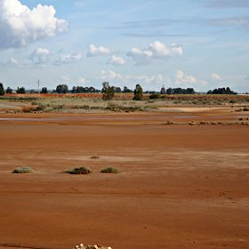 Salt marshland in Moguer (Huelva, SW Spain)