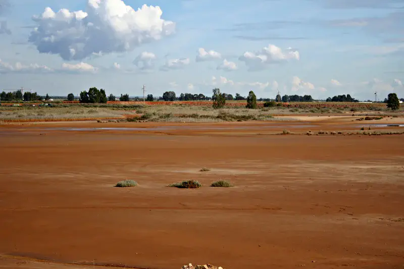 Salt marshland in Moguer (Huelva, SW Spain)