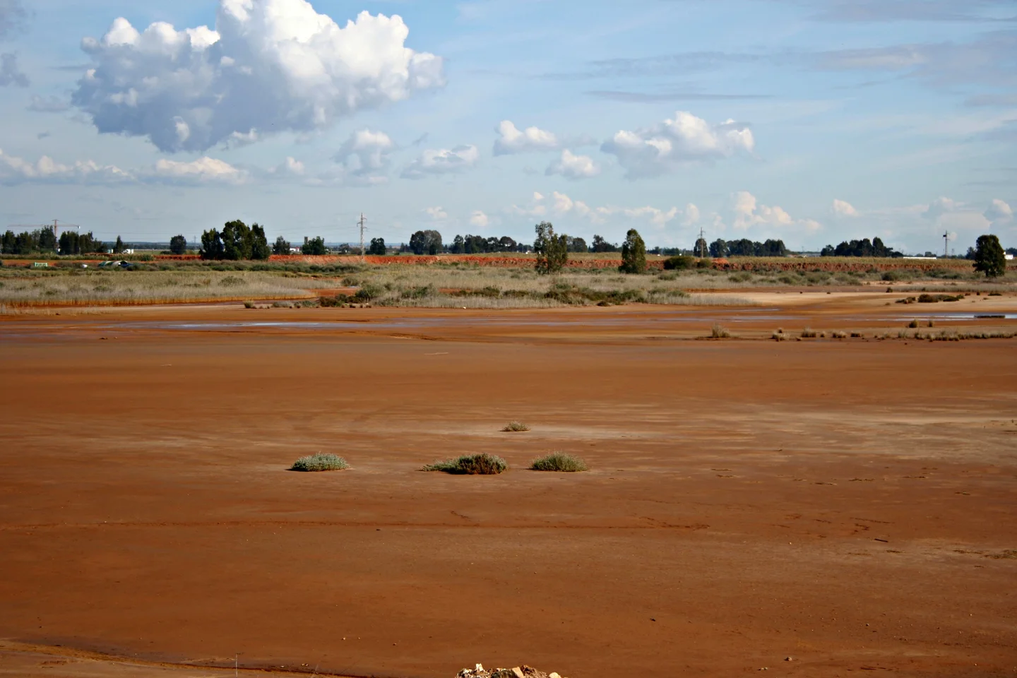 Salt marshland in Moguer (Huelva, SW Spain)