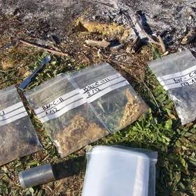 Sampling burned soils
