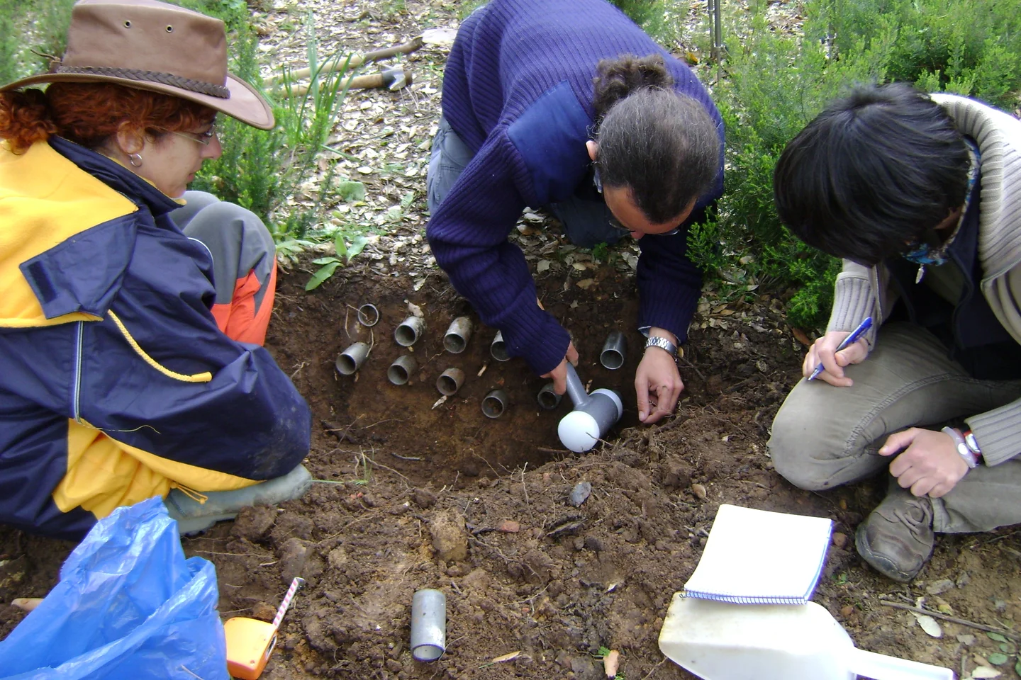 Assessing bulk density