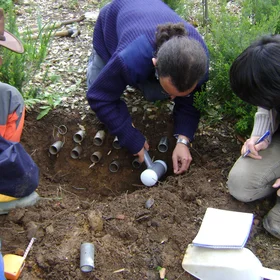 Assessing bulk density