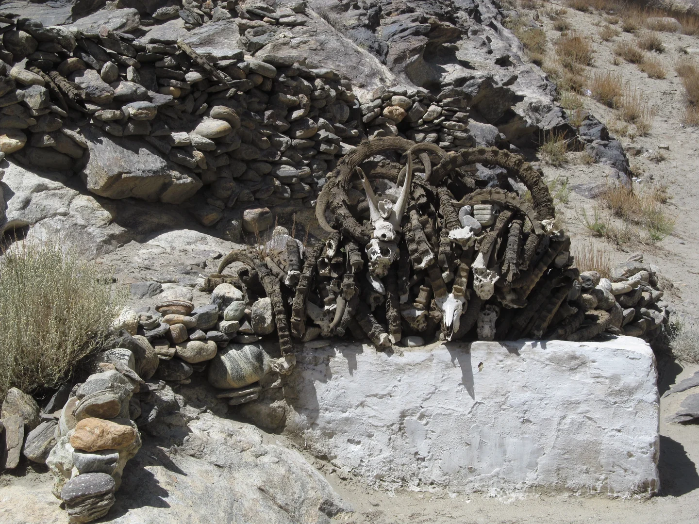 Poaching in the Pamir