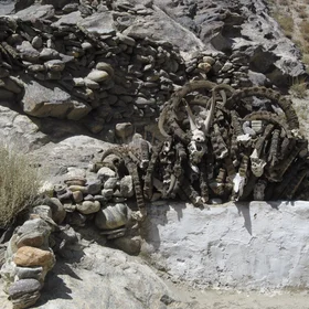 Poaching in the Pamir