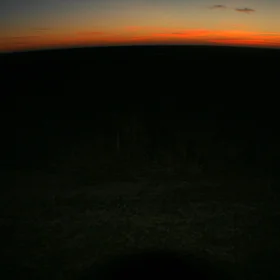 Sunrise in the marshlands
