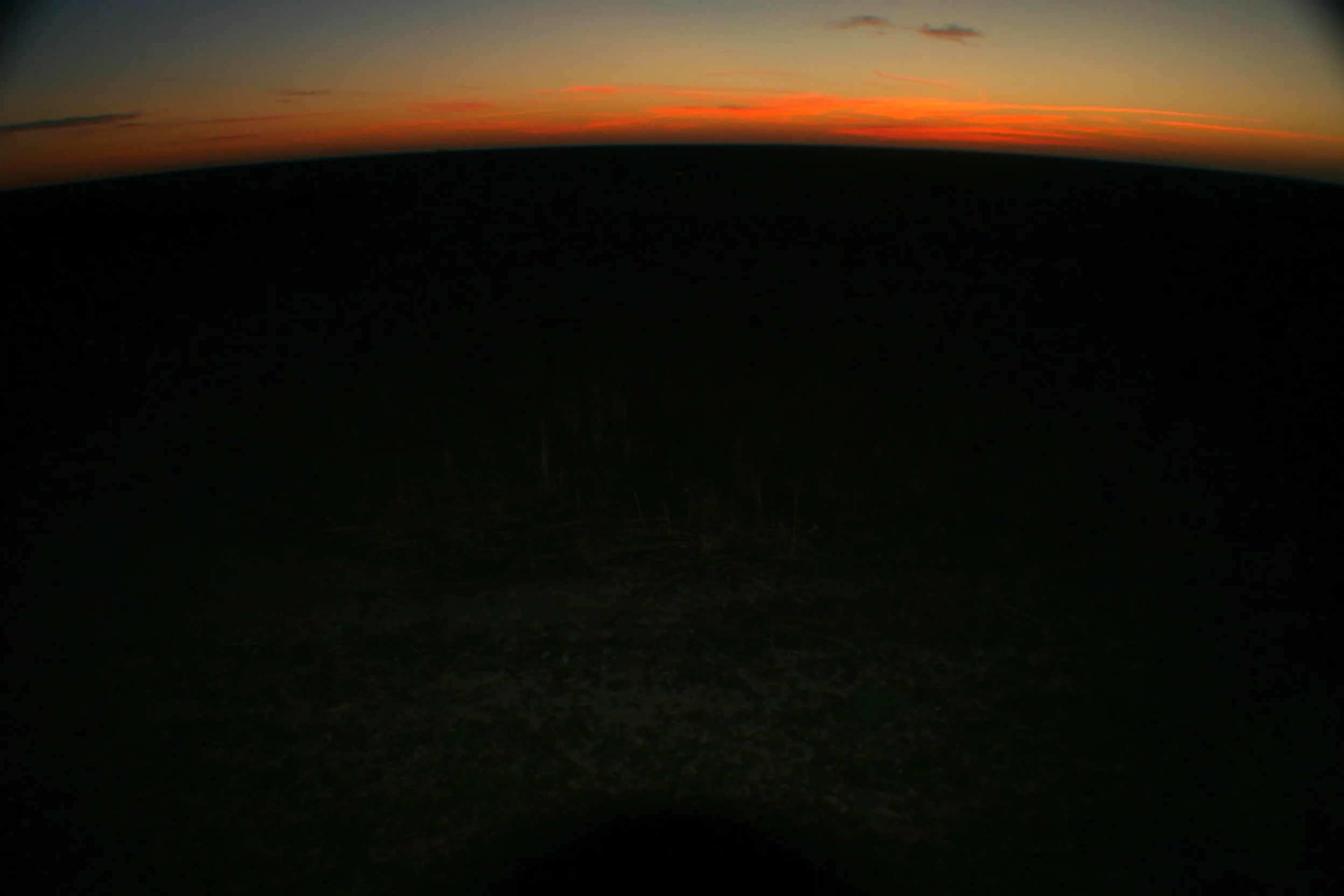 Sunrise in the marshlands