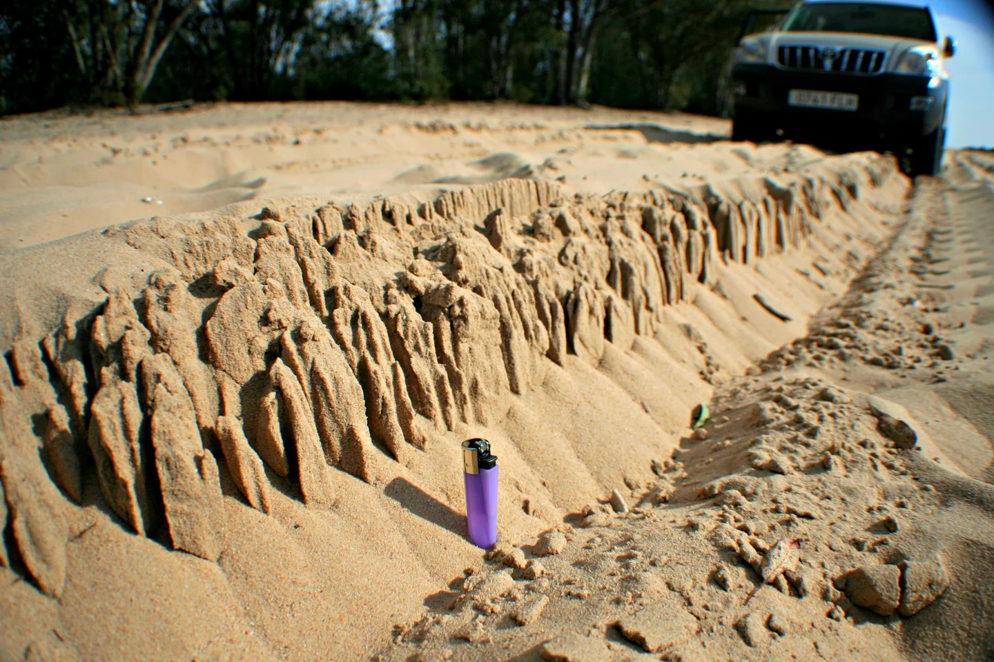 Ephemeral aeolian microrelief