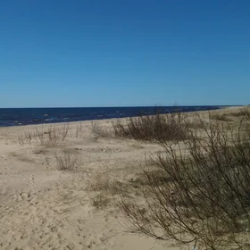 Baltic sea dunes 