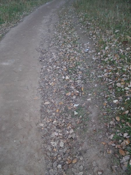 Natural soil erosion protection in an unpaved road
