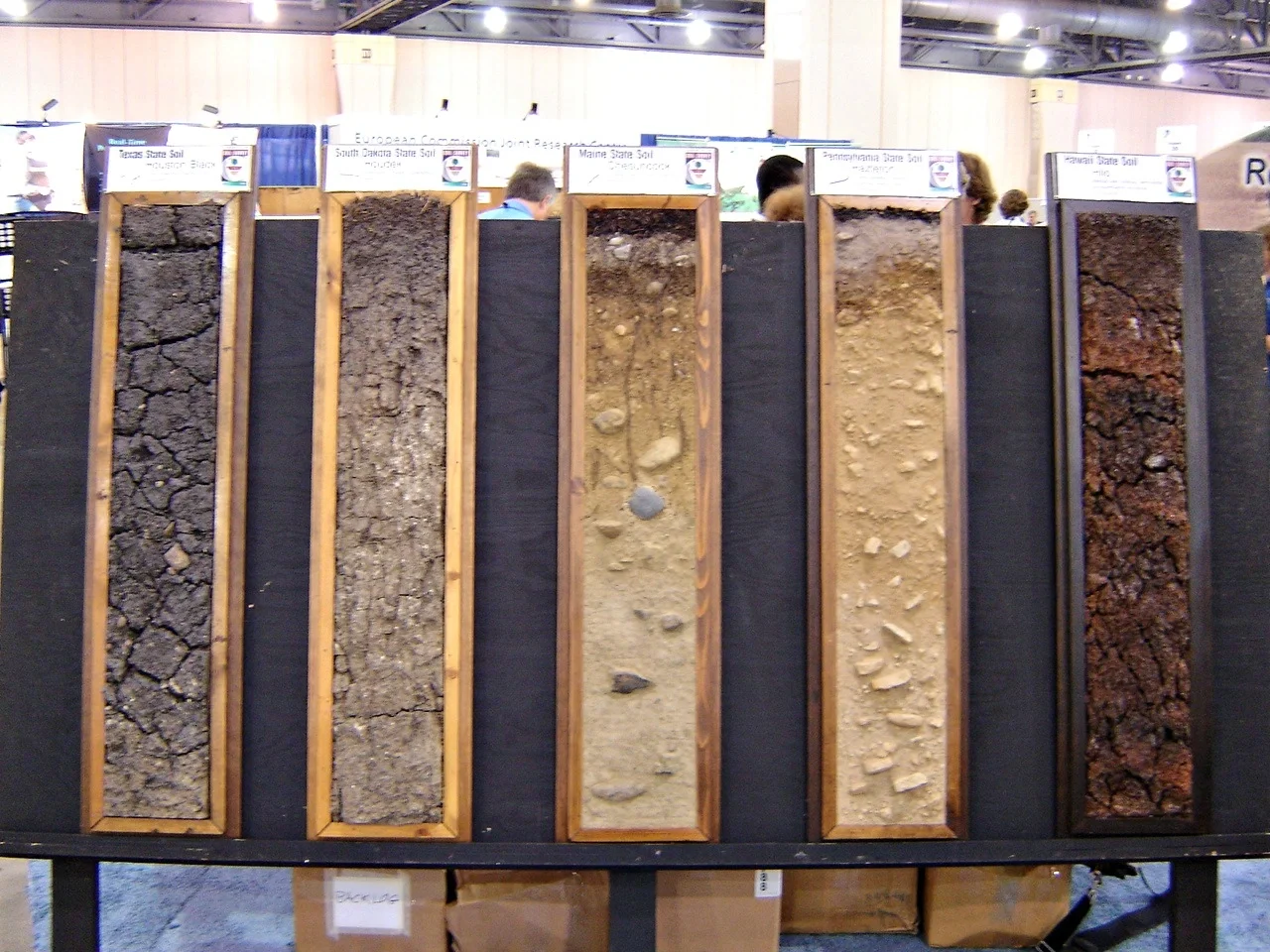 Soil monolyths in the 18th World Congress of Soil Science, Philadelphia, USA, 2006