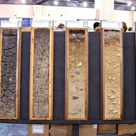 Soil monolyths in the 18th World Congress of Soil Science, Philadelphia, USA, 2006