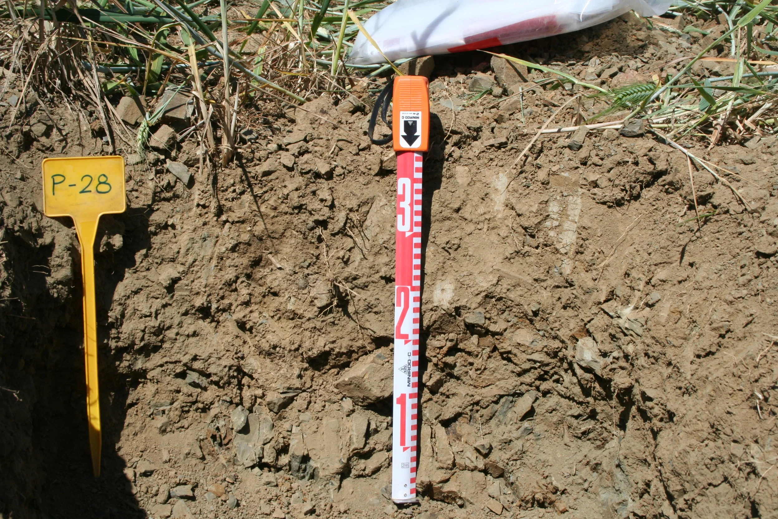 No-tilled wheat-cropped Vertic Leptosol