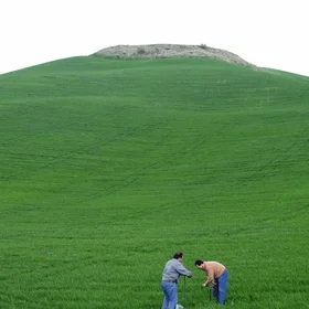 Soil erosion favored by agriculture