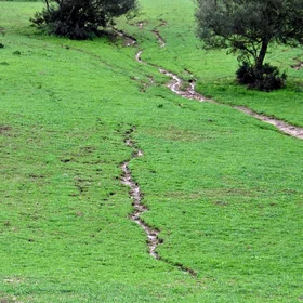 Rill erosion