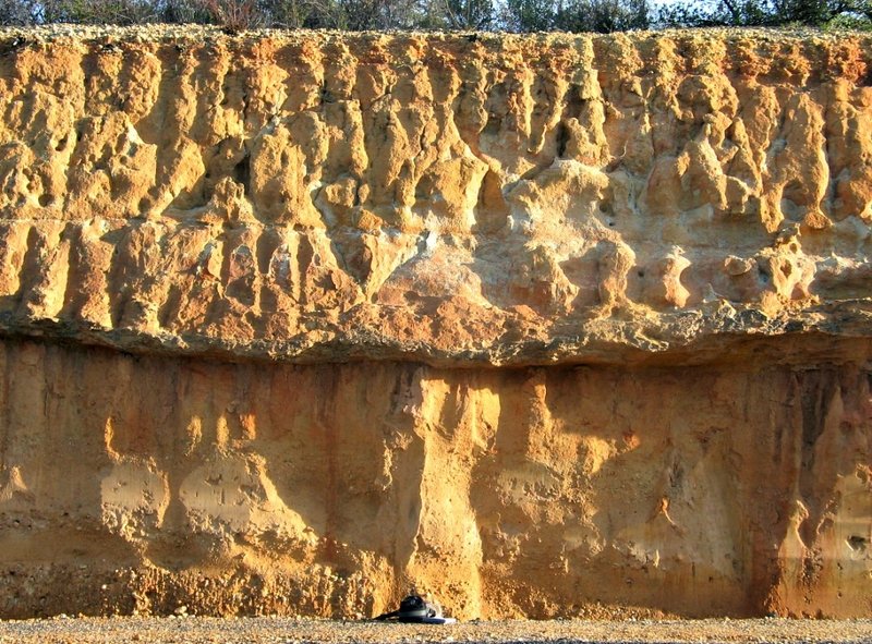 Haplic Regosol on Quaternary sediments showing iron concretion