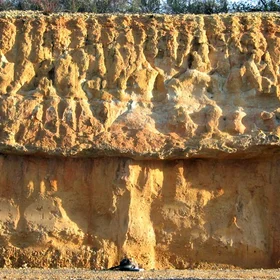 Haplic Regosol on Quaternary sediments showing iron concretion