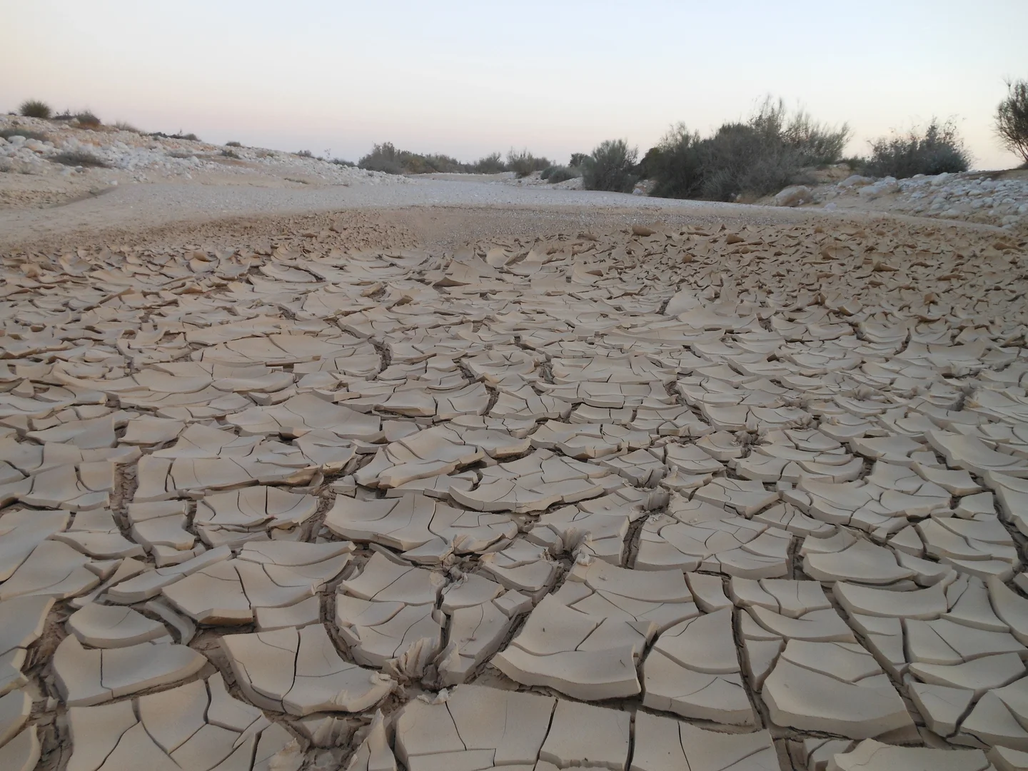 Shrinking Wadi Sediments