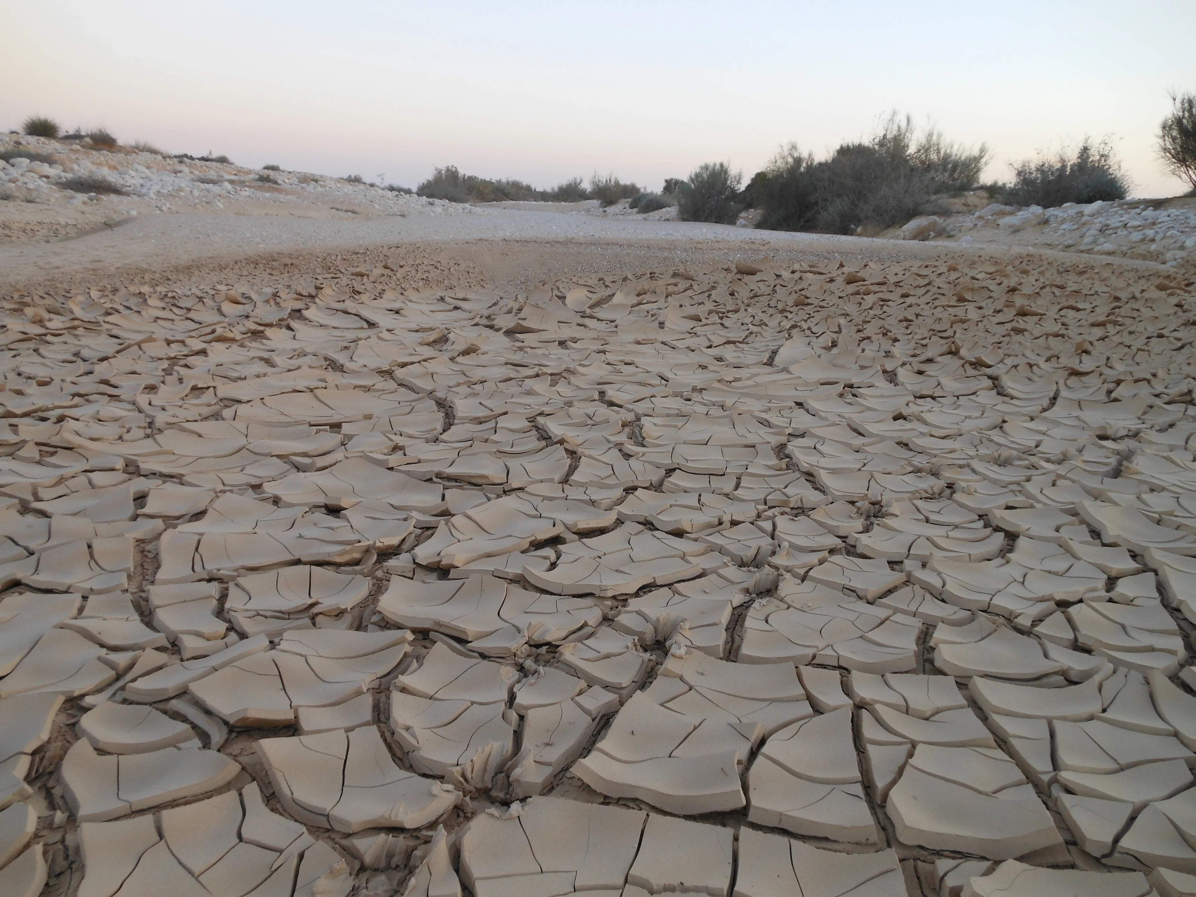 Shrinking Wadi Sediments