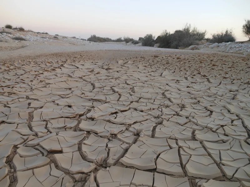 Shrinking Wadi Sediments