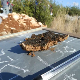 Biological Soil Crust