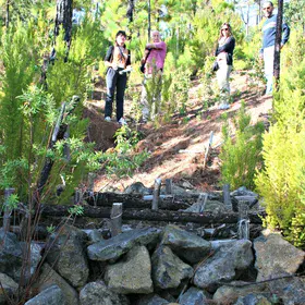 Soil erosion measures in a burnt area